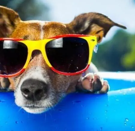 Szálloda Calipso Lignano Sabbiadoro